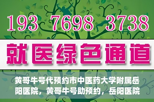 黄哥牛号代预约市中医药大学附属岳阳医院，黄哥牛号助预约，岳阳医院中医魅力体验之旅