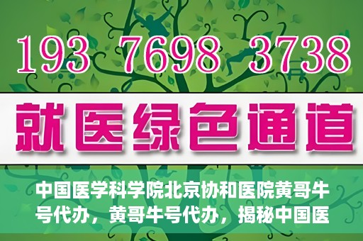 中国医学科学院北京协和医院黄哥牛号代办，黄哥牛号代办，揭秘中国医学科学院北京协和医院背后的故事