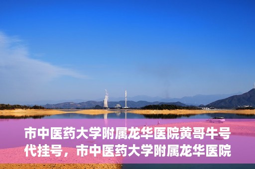 市中医药大学附属龙华医院黄哥牛号代挂号，市中医药大学附属龙华医院黄哥牛号代挂号服务解析
