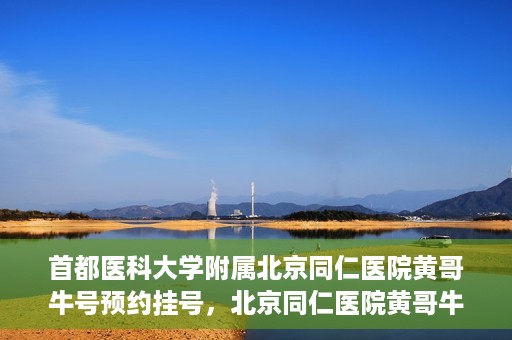 首都医科大学附属北京同仁医院黄哥牛号预约挂号，北京同仁医院黄哥牛号预约挂号攻略，专业医疗服务的便捷通道