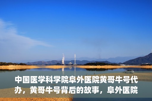 中国医学科学院阜外医院黄哥牛号代办，黄哥牛号背后的故事，阜外医院名医揭秘与医疗服务的深度解读