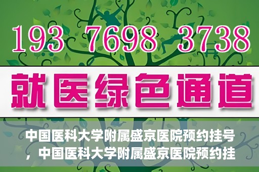 中国医科大学附属盛京医院预约挂号，中国医科大学附属盛京医院预约挂号指南，一站式解决您的挂号难题