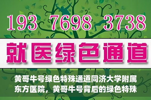 黄哥牛号绿色特殊通道同济大学附属东方医院，黄哥牛号背后的绿色特殊通道，同济大学附属东方医院的探索与实践