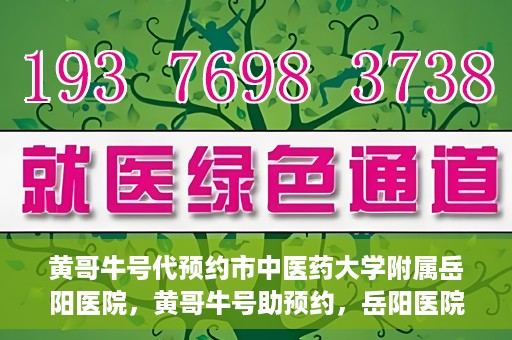 黄哥牛号代预约市中医药大学附属岳阳医院，黄哥牛号助预约，岳阳医院中医魅力体验之旅
