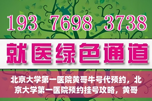 北京大学第一医院黄哥牛号代预约，北京大学第一医院预约挂号攻略，黄哥牛号预约详解