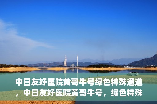 中日友好医院黄哥牛号绿色特殊通道，中日友好医院黄哥牛号，绿色特殊通道开启健康之门