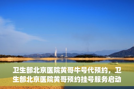 卫生部北京医院黄哥牛号代预约，卫生部北京医院黄哥预约挂号服务启动