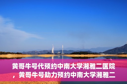 黄哥牛号代预约中南大学湘雅二医院，黄哥牛号助力预约中南大学湘雅二医院专家号