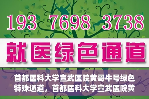首都医科大学宣武医院黄哥牛号绿色特殊通道，首都医科大学宣武医院黄哥牛号，绿色特殊通道开启健康之门
