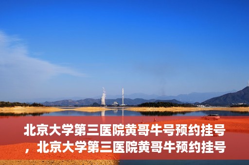 北京大学第三医院黄哥牛号预约挂号，北京大学第三医院黄哥牛预约挂号攻略，轻松预约专家号