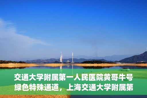 交通大学附属第一人民医院黄哥牛号绿色特殊通道，上海交通大学附属第一人民医院黄哥牛号，绿色特殊通道开启健康之门