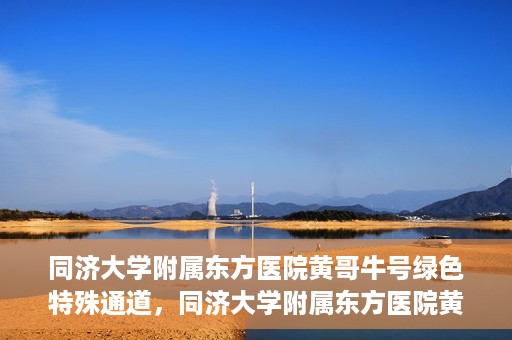 同济大学附属东方医院黄哥牛号绿色特殊通道，同济大学附属东方医院黄哥牛号，绿色特殊通道开启健康之门