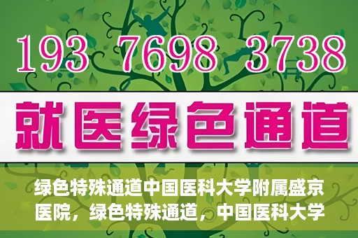 绿色特殊通道中国医科大学附属盛京医院，绿色特殊通道，中国医科大学附属盛京医院的探索与实践
