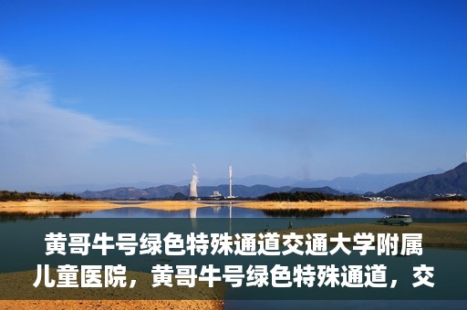 黄哥牛号绿色特殊通道交通大学附属儿童医院，黄哥牛号绿色特殊通道，交通大学附属儿童医院的探索与实践