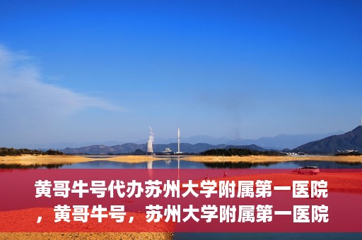 黄哥牛号代办苏州大学附属第一医院，黄哥牛号，苏州大学附属第一医院代办服务详解