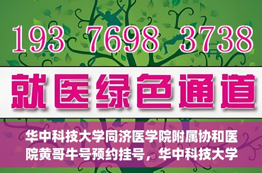 华中科技大学同济医学院附属协和医院黄哥牛号预约挂号，华中科技大学同济医学院附属协和医院黄哥牛号预约挂号攻略解析