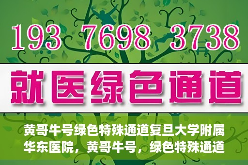 黄哥牛号绿色特殊通道复旦大学附属华东医院，黄哥牛号，绿色特殊通道揭秘，华东医院新篇章开启
