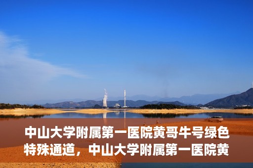 中山大学附属第一医院黄哥牛号绿色特殊通道，中山大学附属第一医院黄哥牛号，绿色特殊通道开启健康之门