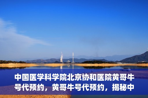 中国医学科学院北京协和医院黄哥牛号代预约，黄哥牛号代预约，揭秘中国医学科学院北京协和医院挂号秘籍