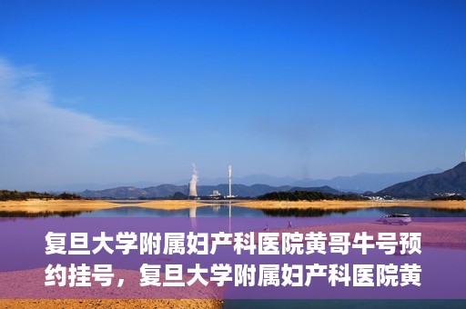 复旦大学附属妇产科医院黄哥牛号预约挂号，复旦大学附属妇产科医院黄哥牛挂号预约攻略解析
