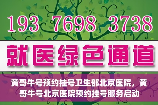 黄哥牛号预约挂号卫生部北京医院，黄哥牛号北京医院预约挂号服务启动