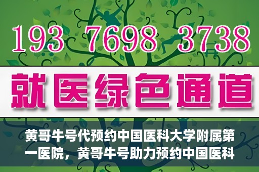 黄哥牛号代预约中国医科大学附属第一医院，黄哥牛号助力预约中国医科大学附属第一医院专家号