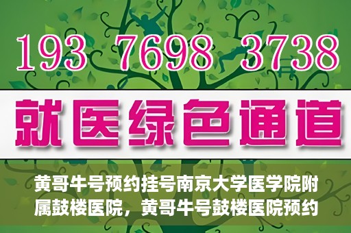 黄哥牛号预约挂号南京大学医学院附属鼓楼医院，黄哥牛号鼓楼医院预约挂号启动，便捷就医新体验