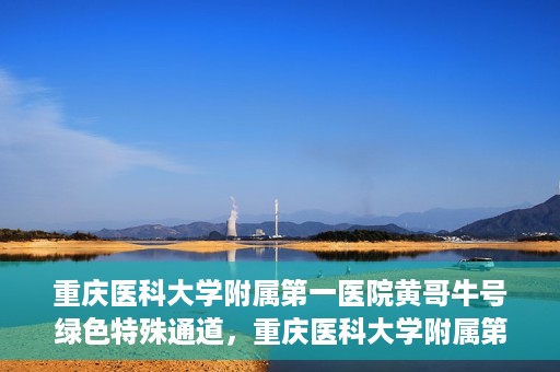 重庆医科大学附属第一医院黄哥牛号绿色特殊通道，重庆医科大学附属第一医院黄哥牛号绿色特殊通道，就医新选择