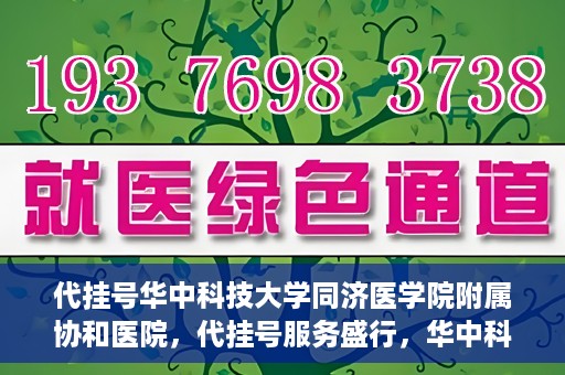 代挂号华中科技大学同济医学院附属协和医院，代挂号服务盛行，华中科技大学同济医学院附属协和医院如何应对挑战？