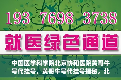 中国医学科学院北京协和医院黄哥牛号代挂号，黄哥牛号代挂号揭秘，北京协和医院挂号背后的故事