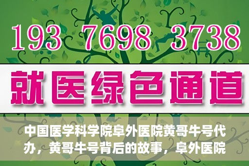中国医学科学院阜外医院黄哥牛号代办，黄哥牛号背后的故事，阜外医院名医揭秘与医疗服务的深度解读