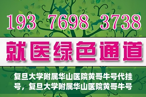 复旦大学附属华山医院黄哥牛号代挂号，复旦大学附属华山医院黄哥牛号代挂号服务详解