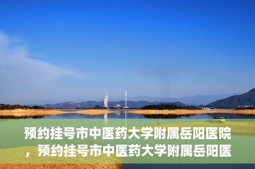 预约挂号市中医药大学附属岳阳医院，预约挂号市中医药大学附属岳阳医院，一站式便捷医疗体验等你来享！