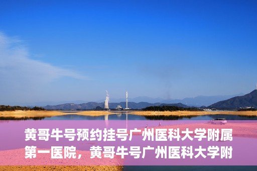 黄哥牛号预约挂号广州医科大学附属第一医院，黄哥牛号广州医科大学附属第一医院预约挂号攻略