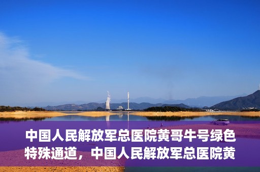 中国人民解放军总医院黄哥牛号绿色特殊通道，中国人民解放军总医院黄哥牛号，绿色特殊通道开启健康之门