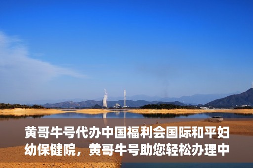 黄哥牛号代办中国福利会国际和平妇幼保健院，黄哥牛号助您轻松办理中国福利会国际和平妇幼保健院手续代办服务