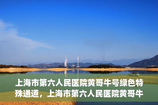 上海市第六人民医院黄哥牛号绿色特殊通道，上海市第六人民医院黄哥牛号，绿色特殊通道开启