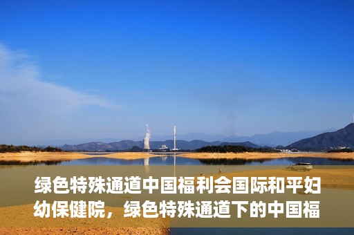 绿色特殊通道中国福利会国际和平妇幼保健院，绿色特殊通道下的中国福利会国际和平妇幼保健院，守护母婴健康的温馨港湾