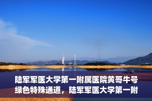 陆军军医大学第一附属医院黄哥牛号绿色特殊通道，陆军军医大学第一附属医院黄哥牛号，绿色特殊通道开启健康之门