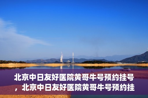 北京中日友好医院黄哥牛号预约挂号，北京中日友好医院黄哥牛号预约挂号指南