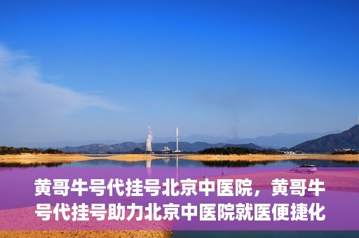 黄哥牛号代挂号北京中医院，黄哥牛号代挂号助力北京中医院就医便捷化