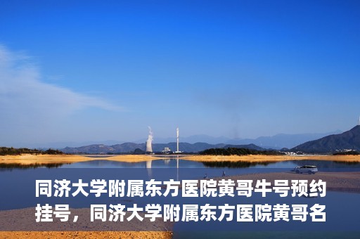 同济大学附属东方医院黄哥牛号预约挂号，同济大学附属东方医院黄哥名医牛号预约挂号攻略