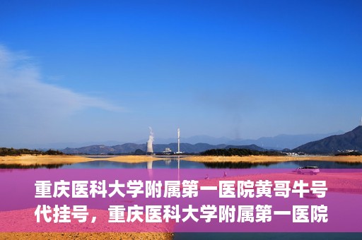 重庆医科大学附属第一医院黄哥牛号代挂号，重庆医科大学附属第一医院黄哥牛号代挂号服务解析