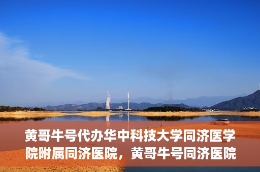 黄哥牛号代办华中科技大学同济医学院附属同济医院，黄哥牛号同济医院代办服务，专业助力就医无忧！