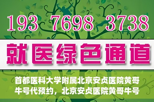 首都医科大学附属北京安贞医院黄哥牛号代预约，北京安贞医院黄哥牛号预约服务解析