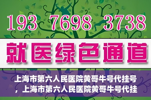 上海市第六人民医院黄哥牛号代挂号，上海市第六人民医院黄哥牛号代挂号攻略揭秘