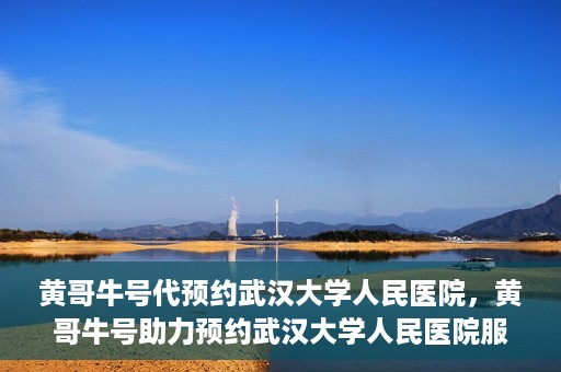 黄哥牛号代预约武汉大学人民医院，黄哥牛号助力预约武汉大学人民医院服务