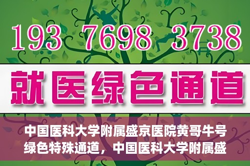 中国医科大学附属盛京医院黄哥牛号绿色特殊通道，中国医科大学附属盛京医院黄哥牛号，绿色特殊通道开启健康之门