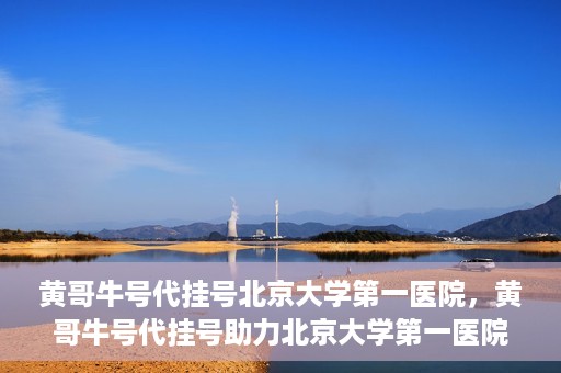 黄哥牛号代挂号北京大学第一医院，黄哥牛号代挂号助力北京大学第一医院就医便捷化