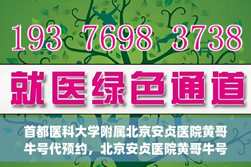 首都医科大学附属北京安贞医院黄哥牛号代预约，北京安贞医院黄哥牛号预约服务解析